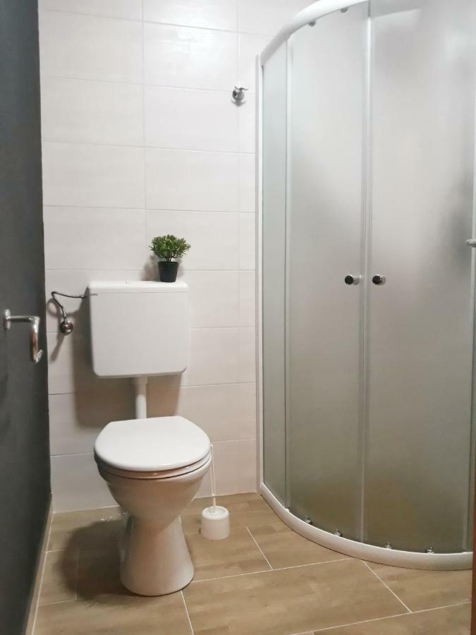 Villa Mihaela - Apartment Ika Cesarica Zewnętrze zdjęcie