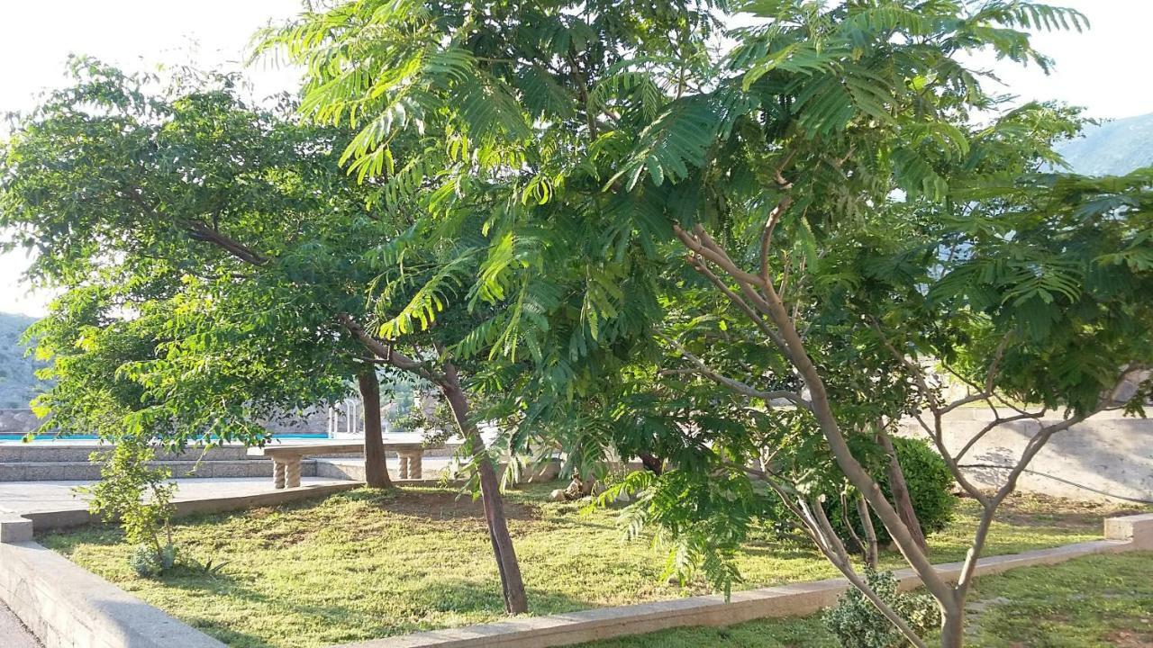 Villa Mihaela - Apartment Ika Cesarica Zewnętrze zdjęcie